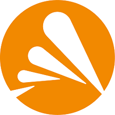 software image